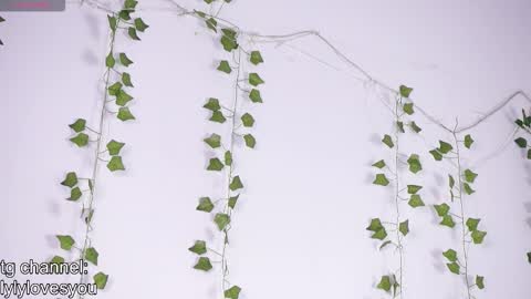 Snapshot of lyly_loveyou chatting on 01/13/26, 05:46 Lyly online show from 01/13/26, 05:46