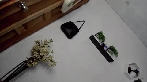 Janelovesu online show from 12/16/25, 07:24