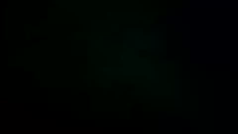 Snapshot of m831481 chatting on 10/15/25, 01:11 Hotandhairy online show from 10/15/25, 01:11