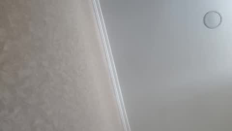 Snapshot of machine2291 chatting on 02/23/26, 09:39 Tchia online show from 02/23/26, 09:39