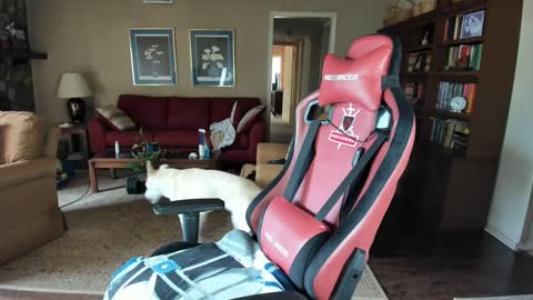 Snapshot of machinecumkelly69 chatting on 09/21/25, 06:09 machinecumkelly69 online show from 09/21/25, 06:09