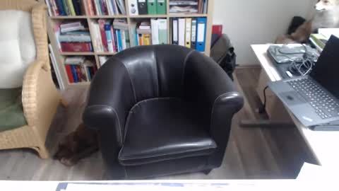 Snapshot of maddmax8 chatting on 12/12/24, 01:28 Mad4You online show from 12/12/24, 01:28