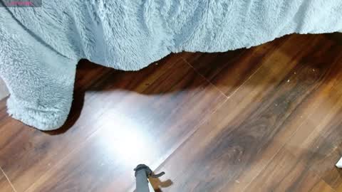 Maddy UwU online show from 01/28/25, 12:32