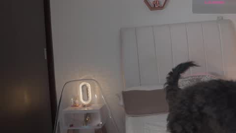 Snapshot of madison__evans chatting on 02/14/26, 06:21 Valentina 1030 530 - online show from 02/14/26, 06:21