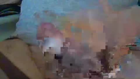 Snapshot of madmax98 chatting on 12/16/25, 01:05 Max online show from 12/16/25, 01:05