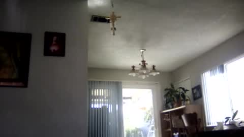 magdalena_805 online show from 02/07/25, 09:48