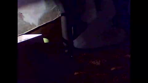 Snapshot of magic199 chatting on 11/02/25, 07:33 romantic online show from 11/02/25, 07:33