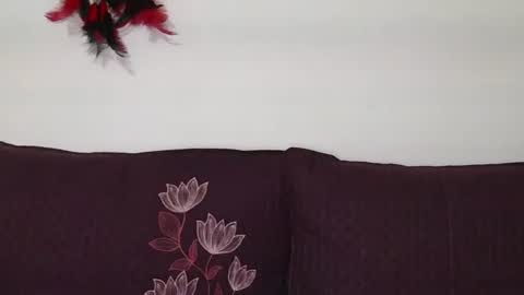 magic door open online show from 10/30/25, 09:11