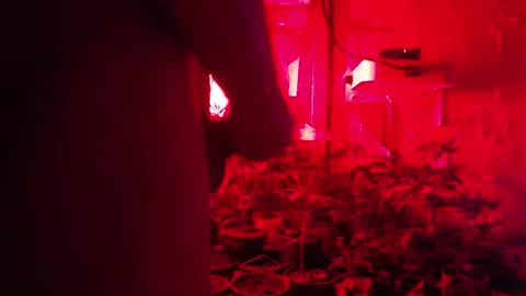 Snapshot of maicom222 chatting on 10/12/25, 02:43 SILVA online show from 10/12/25, 02:43