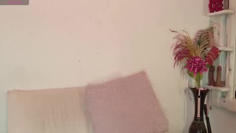 Maki online show from 02/18/26, 08:49