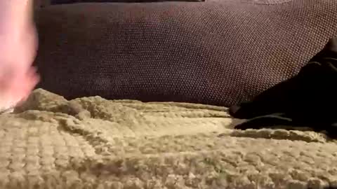 Snapshot of mako998843 chatting on 01/06/26, 10:01 mako998843 online show from 01/06/26, 10:01