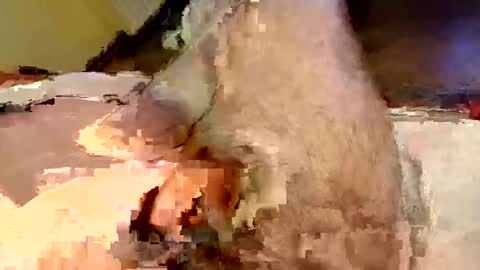 Snapshot of mako998843 chatting on 02/15/26, 07:32 mako998843 online show from 02/15/26, 07:32