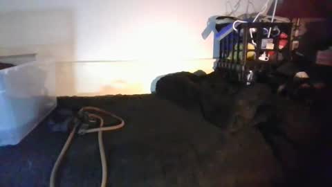 Snapshot of malebdsmslut chatting on 01/18/26, 08:18 CommandbondageNipples bondage kink submissive lovense slave wgear. modequiethvyBondage If Password goldfish online show from 01/18/26, 08:18