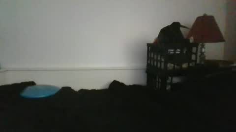 CommandbondageNipples bondage kink submissive lovense slave wgear. modequiethvyBondage If Password goldfish online show from 05/31/26, 12:23