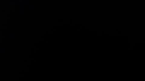 Alice Asylum online show from 11/02/25, 12:13