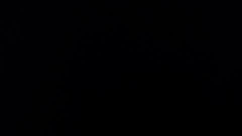 Alice Asylum online show from 11/16/25, 03:45