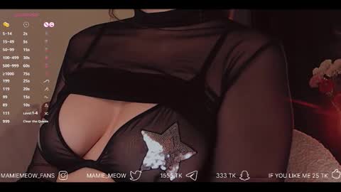 Snapshot of mamiemeow chatting on 12/04/25, 03:43 Your Miss Alice online show from 12/04/25, 03:43