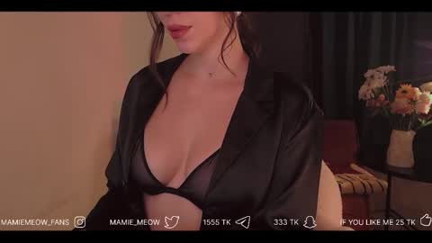 Snapshot of mamiemeow chatting on 02/03/26, 03:17 Your Miss Alice online show from 02/03/26, 03:17