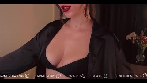 Snapshot of mamiemeow chatting on 02/17/26, 04:24 Your Miss Alice online show from 02/17/26, 04:24