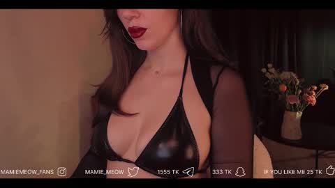 Snapshot of mamiemeow chatting on 02/27/26, 06:08 Your Miss Alice online show from 02/27/26, 06:08