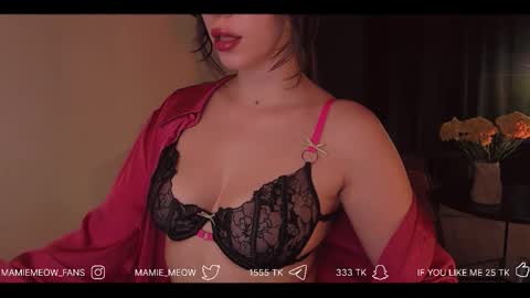 Snapshot of mamiemeow chatting on 03/16/26, 08:29 Your Miss Alice online show from 03/16/26, 08:29