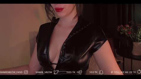 Snapshot of mamiemeow chatting on 04/01/26, 06:03 Your Miss Alice online show from 04/01/26, 06:03