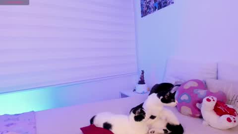 Snapshot of manelyk_10 chatting on 02/02/26, 10:08 online show from 02/02/26, 10:08