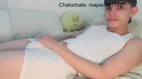 Snapshot of mapache1177 chatting on 02/25/26, 04:05 mapache1177 online show from 02/25/26, 04:05