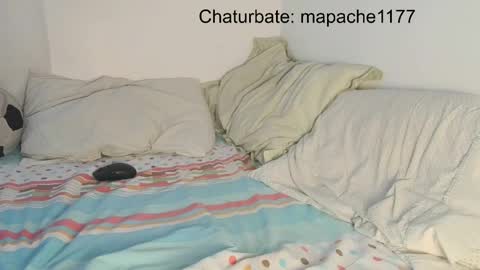 mapache1177 online show from 05/21/26, 06:59