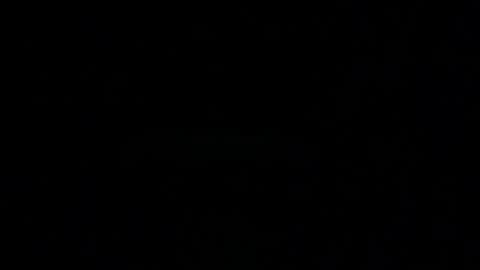 Elle online show from 11/13/25, 03:49