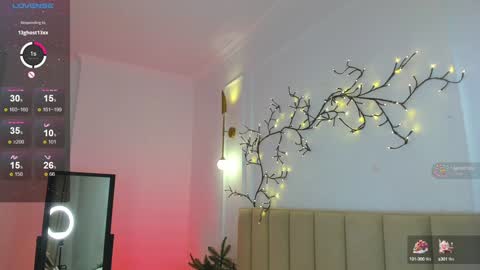 mari_nett online show from 12/27/24, 11:53