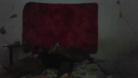 Snapshot of mariaevamotta5 chatting on 02/01/26, 09:13 casal delicia online show from 02/01/26, 09:13