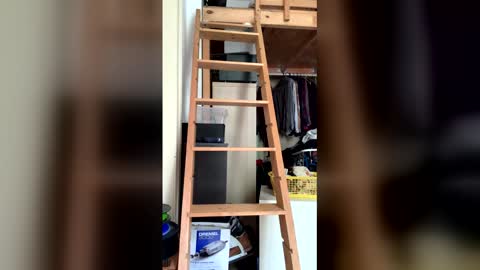 mario_gasm online show from 05/20/26, 01:50