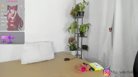 Snapshot of marioandmia chatting on 03/08/26, 06:39 marioandmia online show from 03/08/26, 06:39