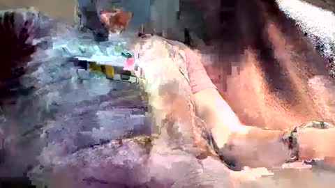 mark102839 online show from 03/13/26, 08:26