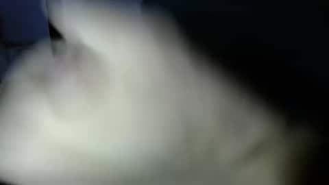 Snapshot of mark_270 chatting on 04/03/26, 06:06 mark_270 online show from 04/03/26, 06:06