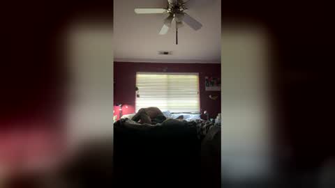 markcali87 online show from 02/20/26, 04:18