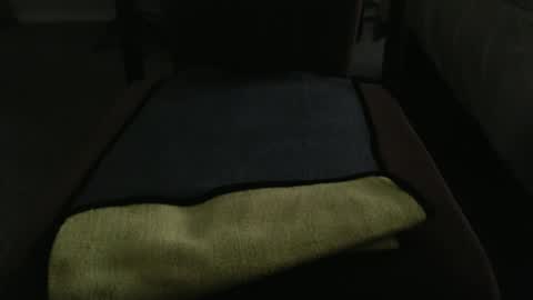 Snapshot of marky1954 chatting on 05/17/26, 12:19 markedman online show from 05/17/26, 12:19