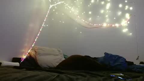 Snapshot of markymark101825061 chatting on 02/10/25, 08:31 markymark101825061 online show from 02/10/25, 08:31