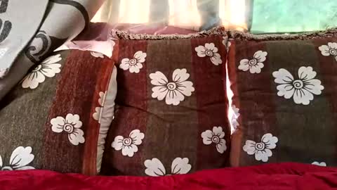 marocreda33 online show from 02/10/25, 10:20