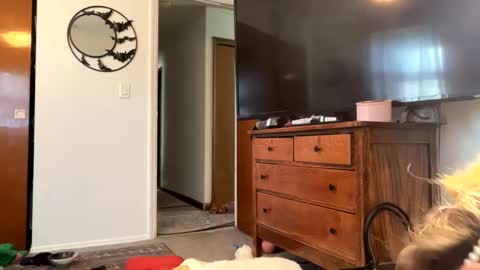 maroon_moon online show from 02/14/25, 04:09