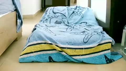 Snapshot of martinas_fantasies chatting on 10/12/25, 10:58 Play with me I obey I promise online show from 10/12/25, 10:58