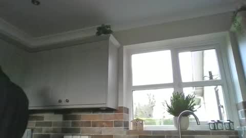 Snapshot of martinrgbxxxx chatting on 12/15/24, 09:56 martinrgbxxxx online show from 12/15/24, 09:56