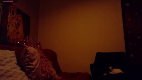     online show from 06/15/26, 02:36