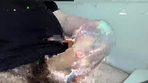 Snapshot of mas12345678910 chatting on 12/01/24, 04:29 mas12345678910 online show from 12/01/24, 04:29