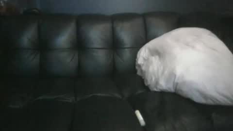 Snapshot of masc39 chatting on 04/12/26, 12:37 Masc39 online show from 04/12/26, 12:37
