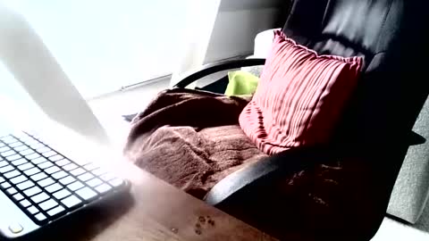 Snapshot of maskime59 chatting on 12/09/24, 09:06 maskime59 online show from 12/09/24, 09:06