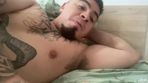    online show from 08/04/26, 08:28