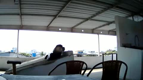 Master Cospi online show from 02/14/25, 02:54