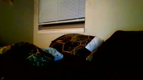 alex online show from 01/12/25, 04:10